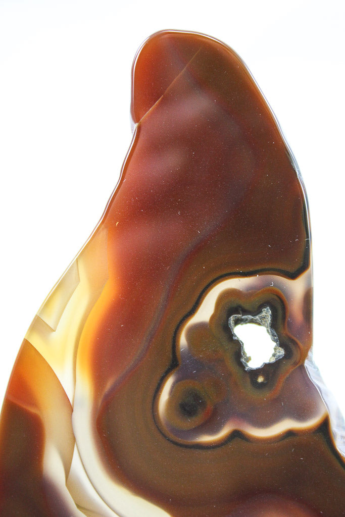 Polished Agate Slice