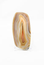 Polished Agate Slice
