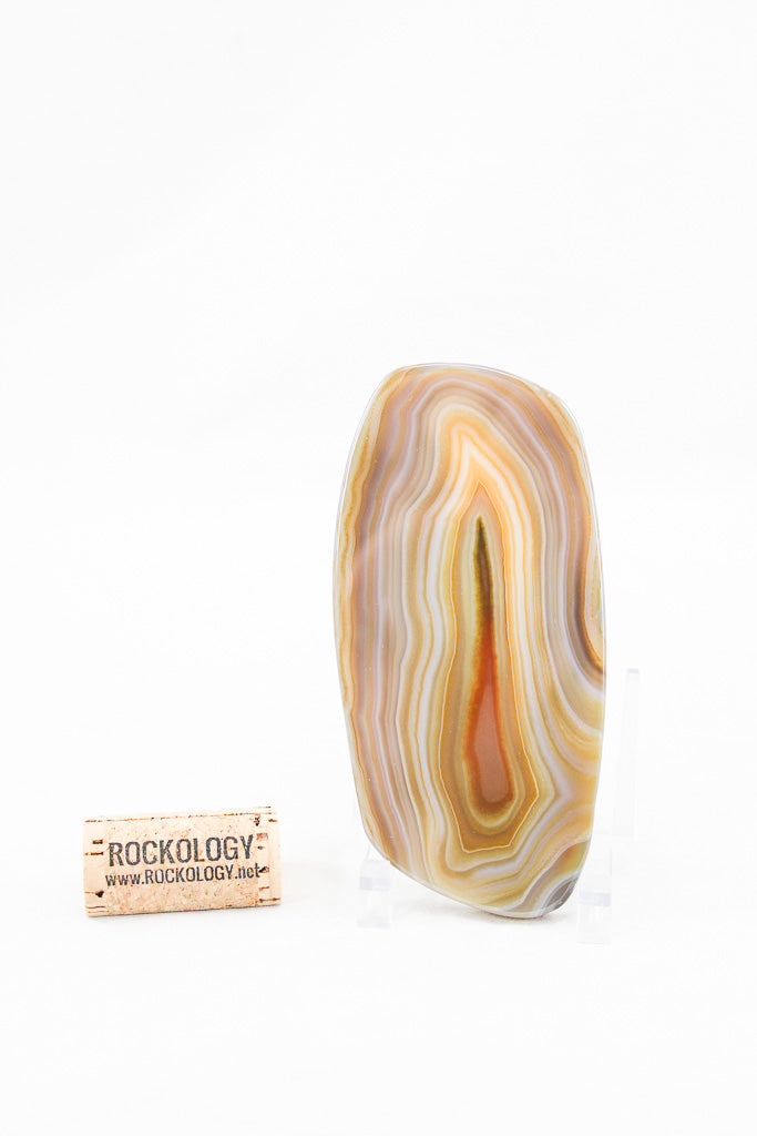 Polished Agate Slice