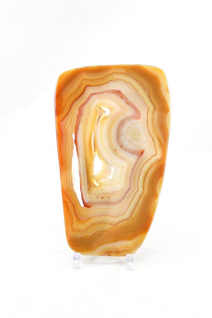 Polished Agate Slice