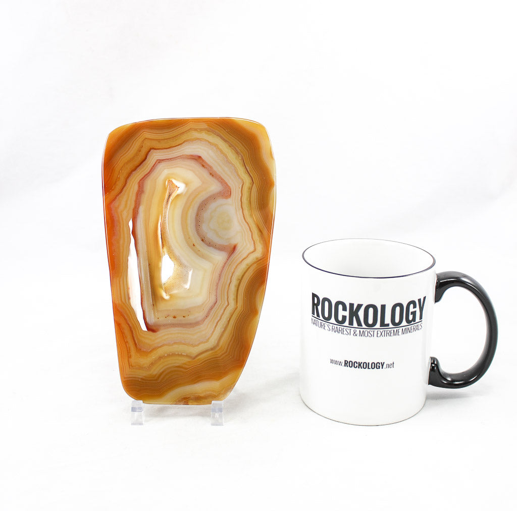 Polished Agate Slice