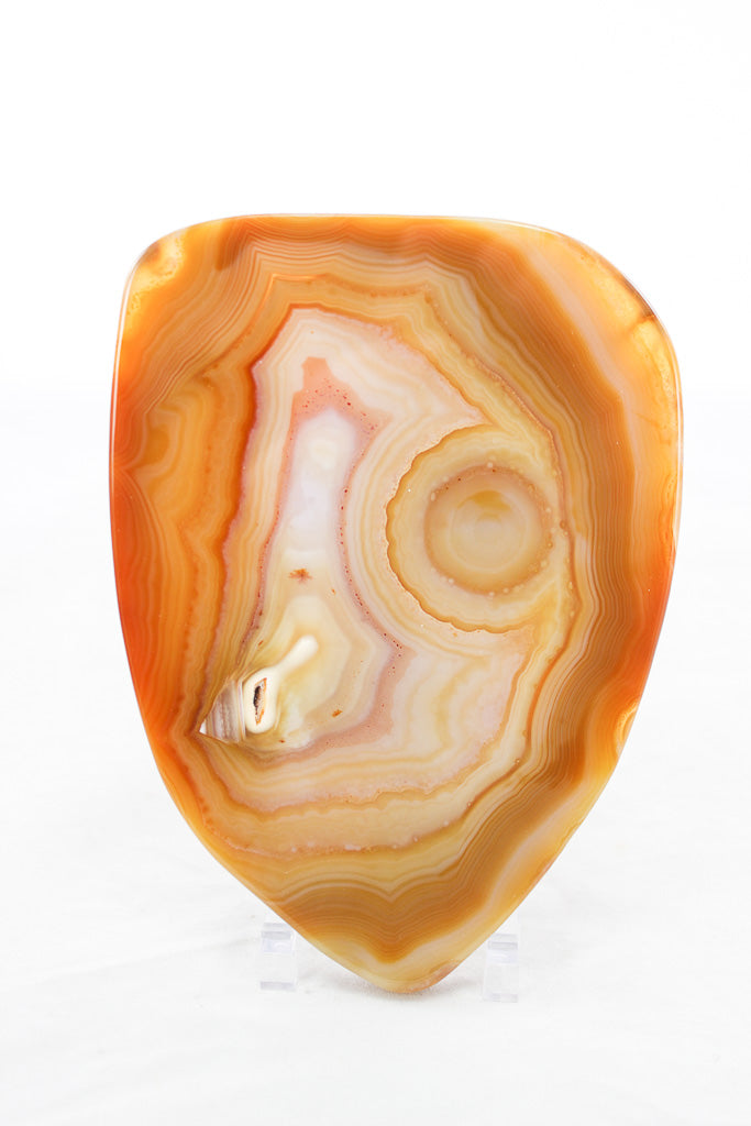 Polished Agate Slice