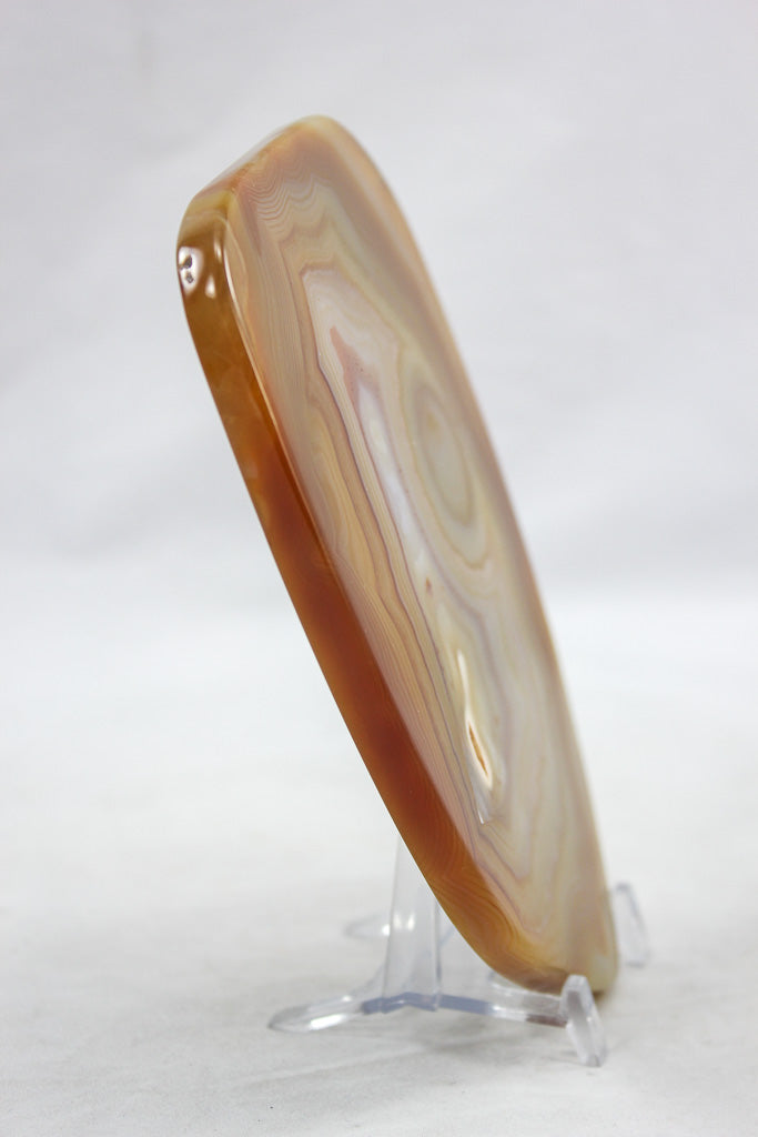 Polished Agate Slice
