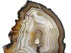 Golden Lined Agate Slice