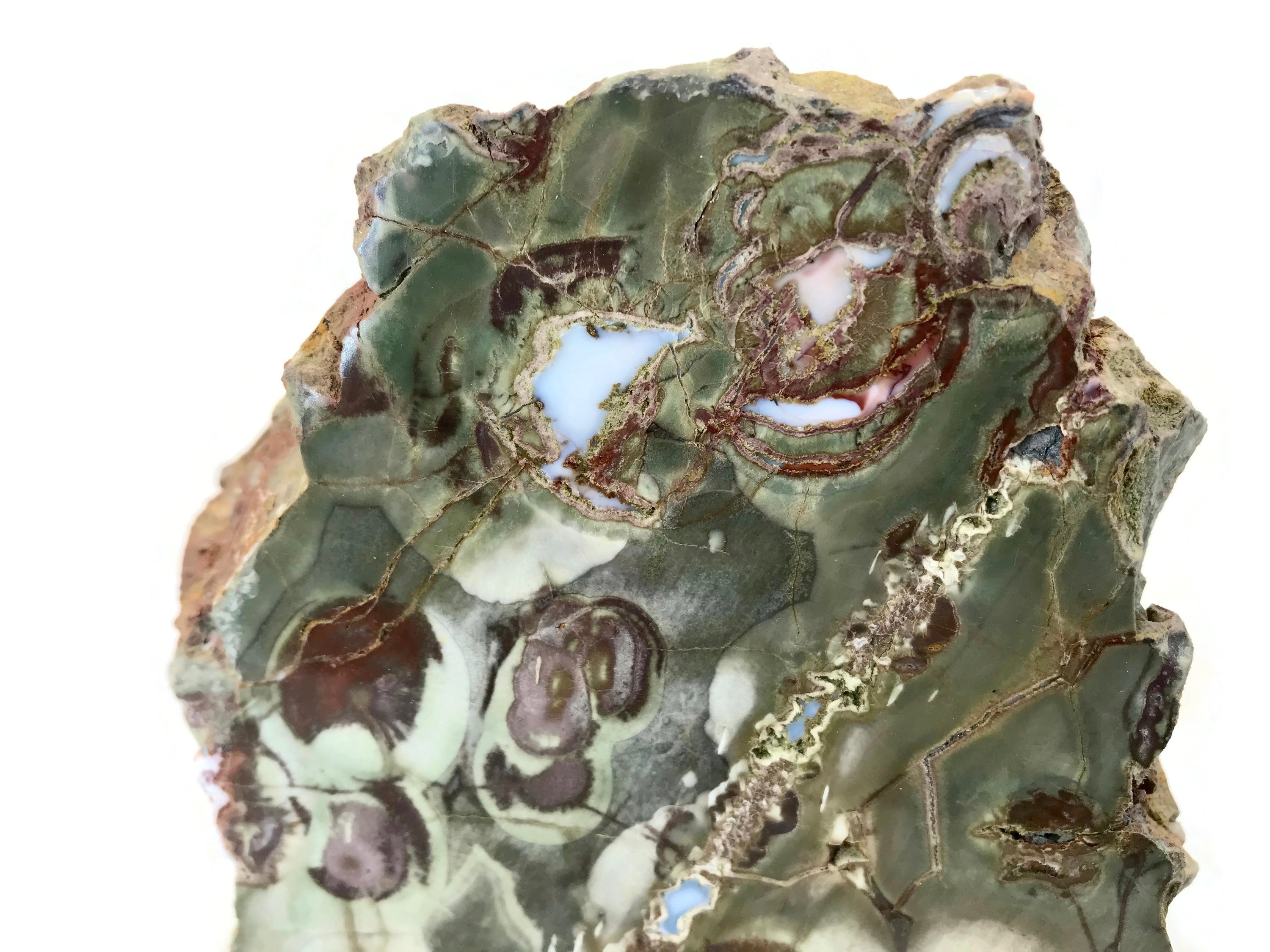 Australian Rainforest Jasper Nodule