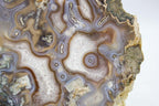 Uruguayan agate slice