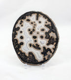 Uruguayan agate slice