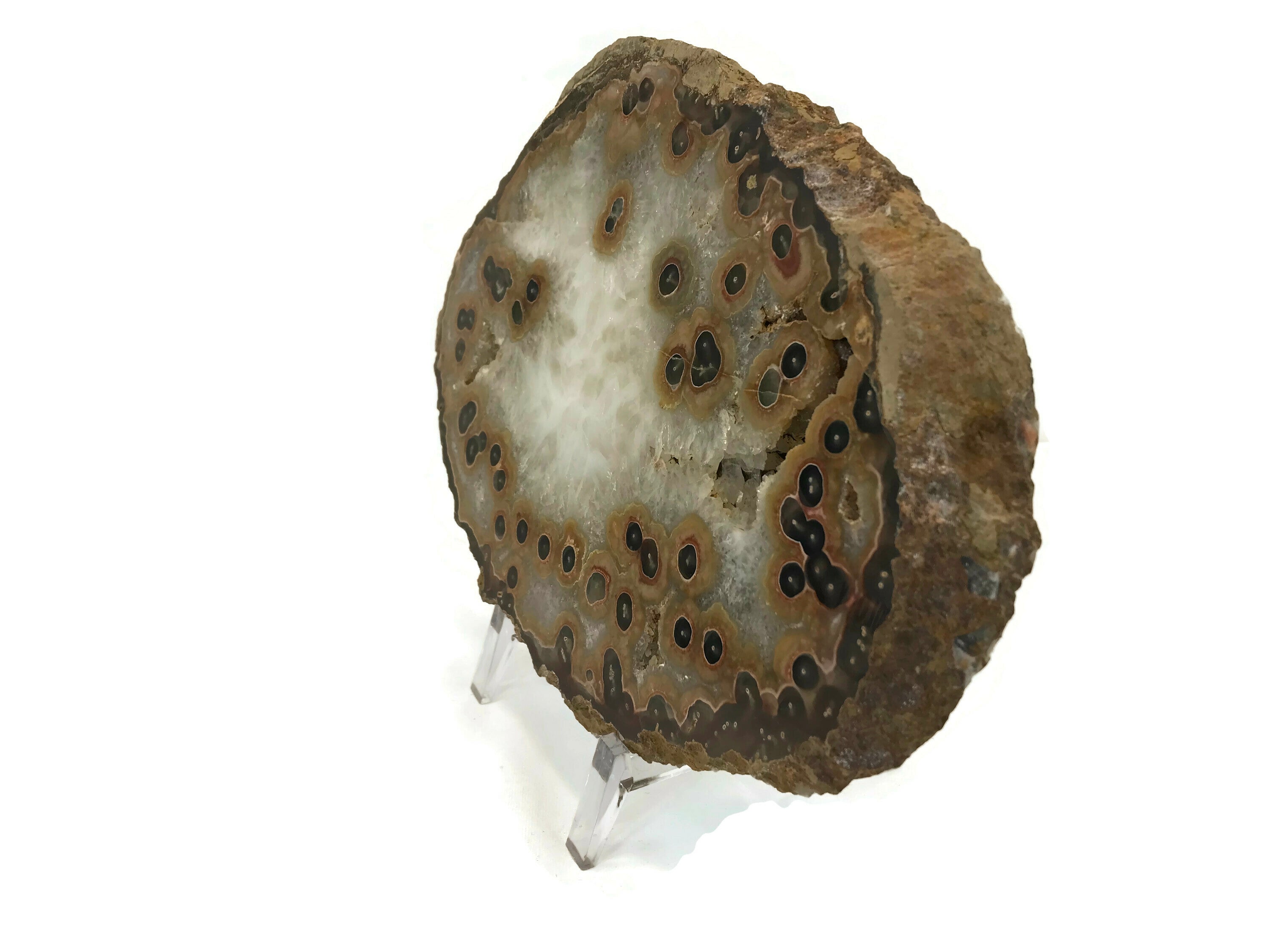 Dramatic Eyed Agate Endcap