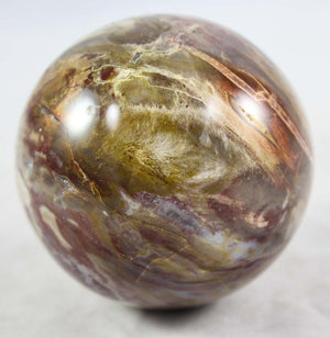 Petrfied Wood Sphere