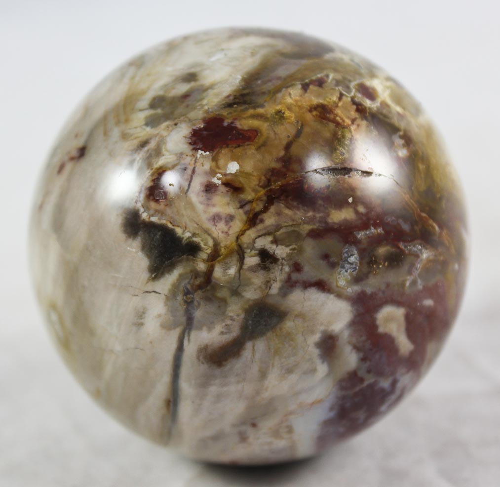 Petrfied Wood Sphere