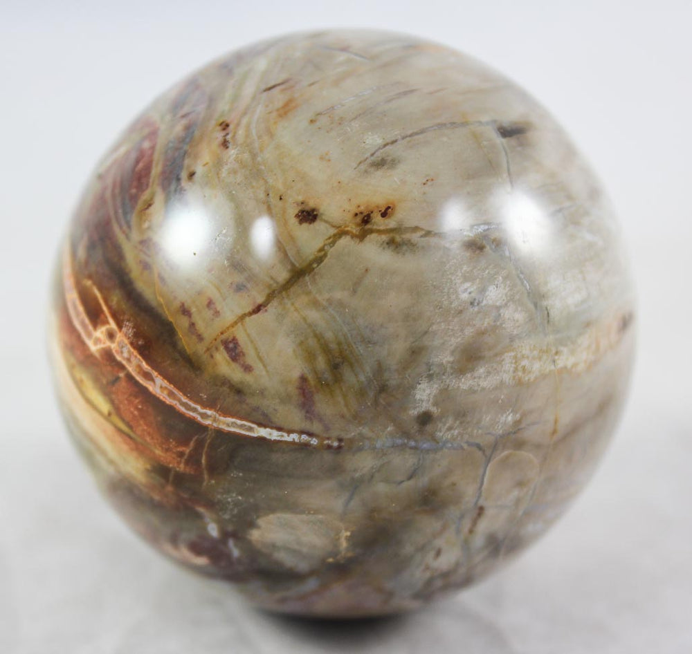 Petrfied Wood Sphere