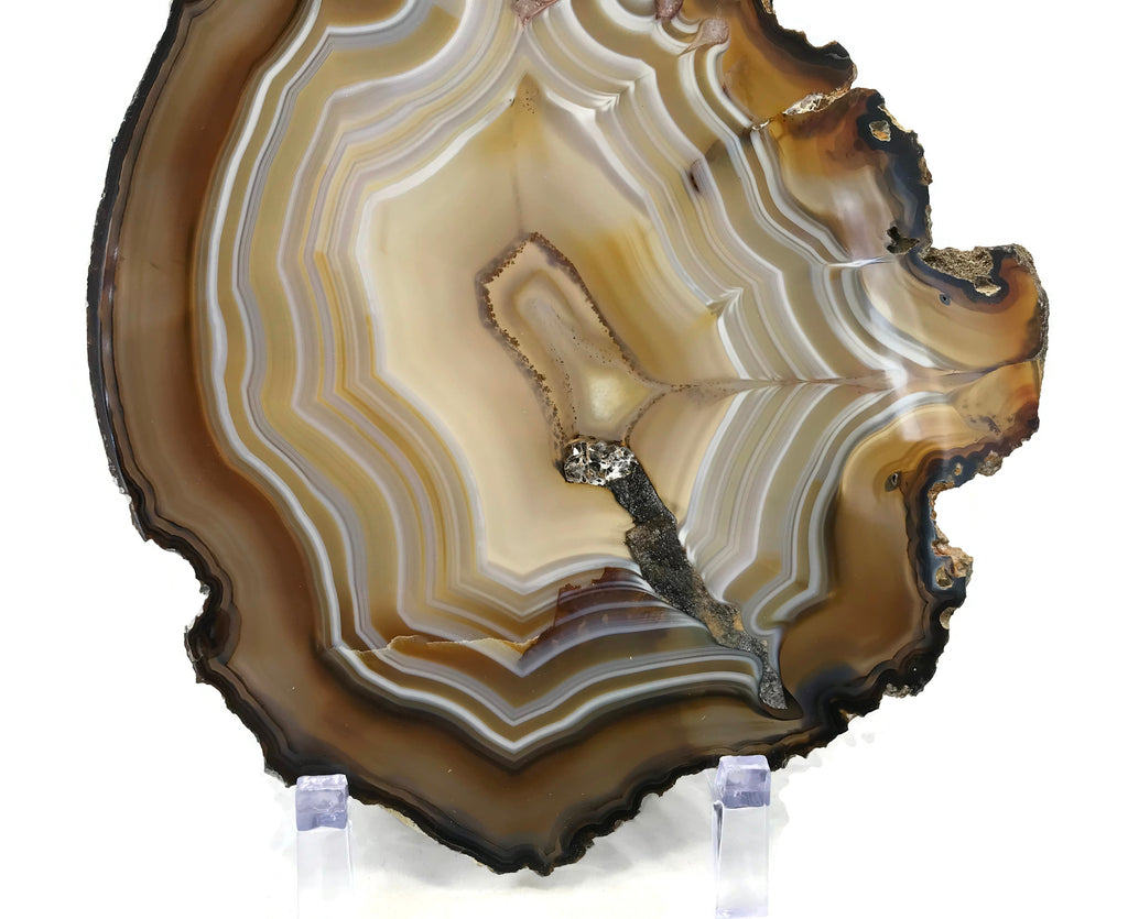 Golden Lined Agate Slice