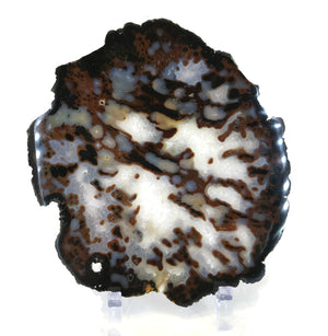 Dotted Agate Slice