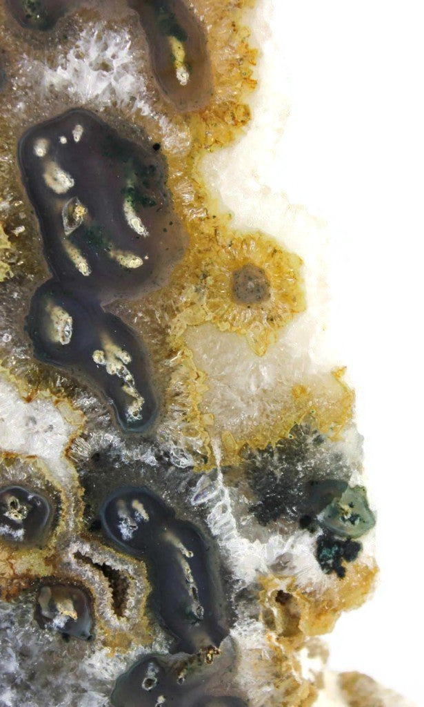 Green Eyed Brazilian Agate Freeform