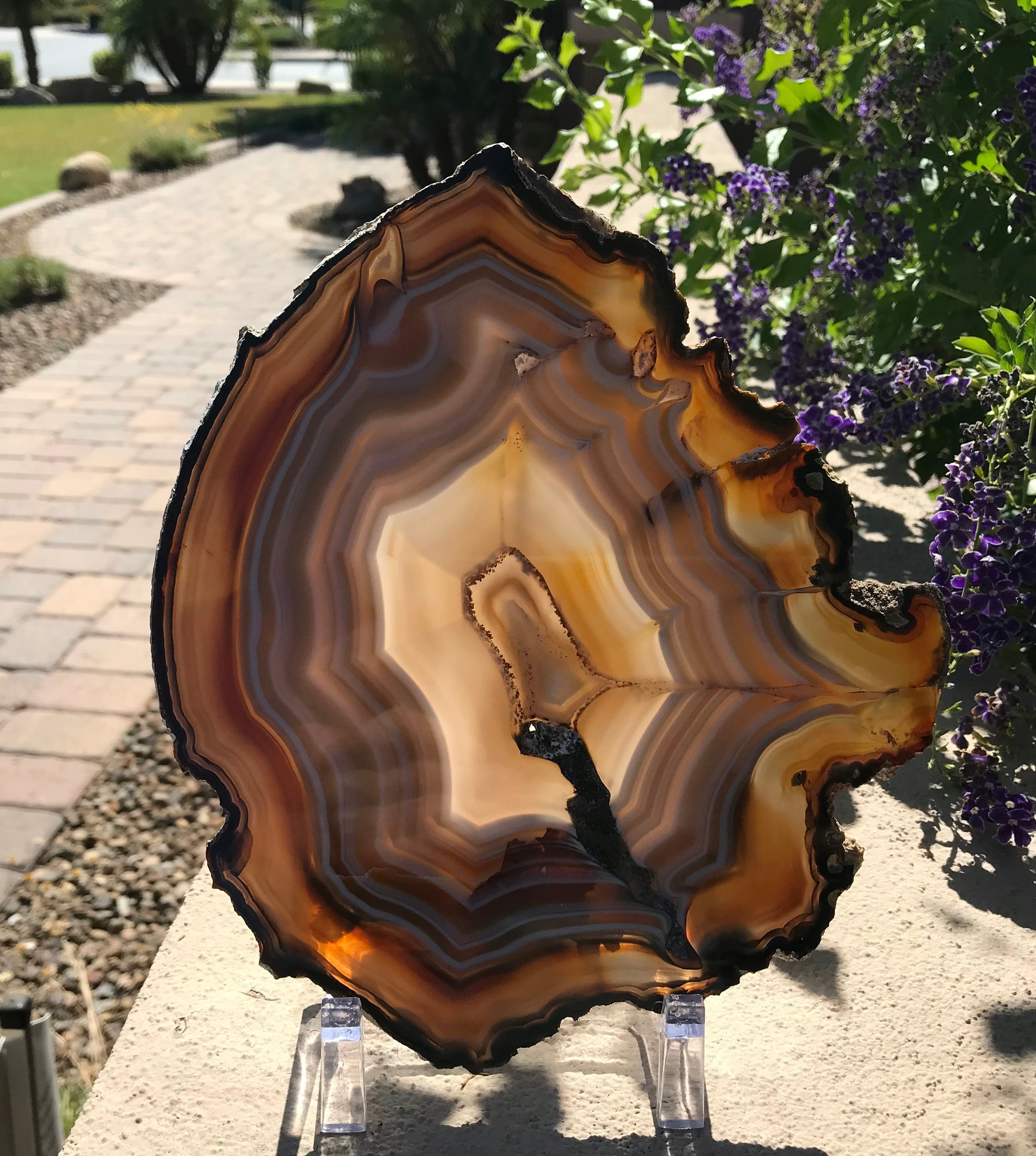 Golden Lined Agate Slice