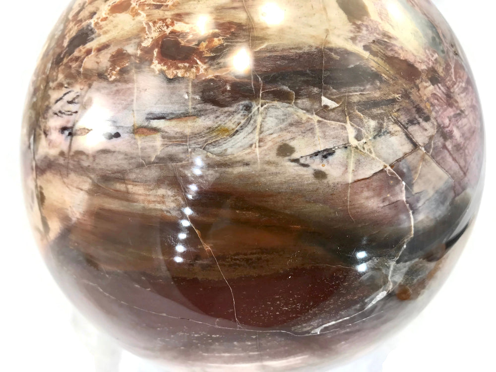 Magnifient Petrified Wood Sphere