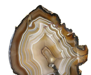 Golden Lined Agate Slice