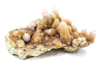 Giant African Cactus Quartz Plate