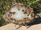 Dramatic Eyed Agate Endcap