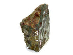 Australian Rainforest Jasper Nodule