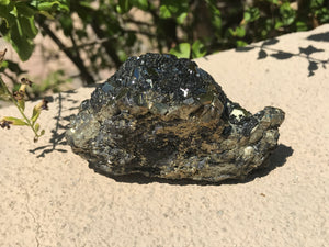 Iron Pyrite With Galena
