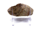 Large Agate Eye with Amethsyt Geode