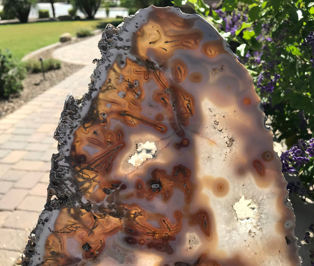 Night and Day Agate Slice