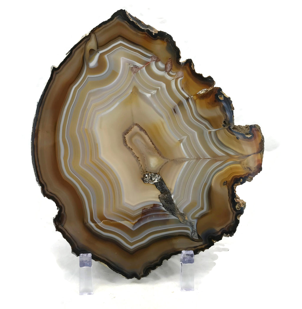 Golden Lined Agate Slice