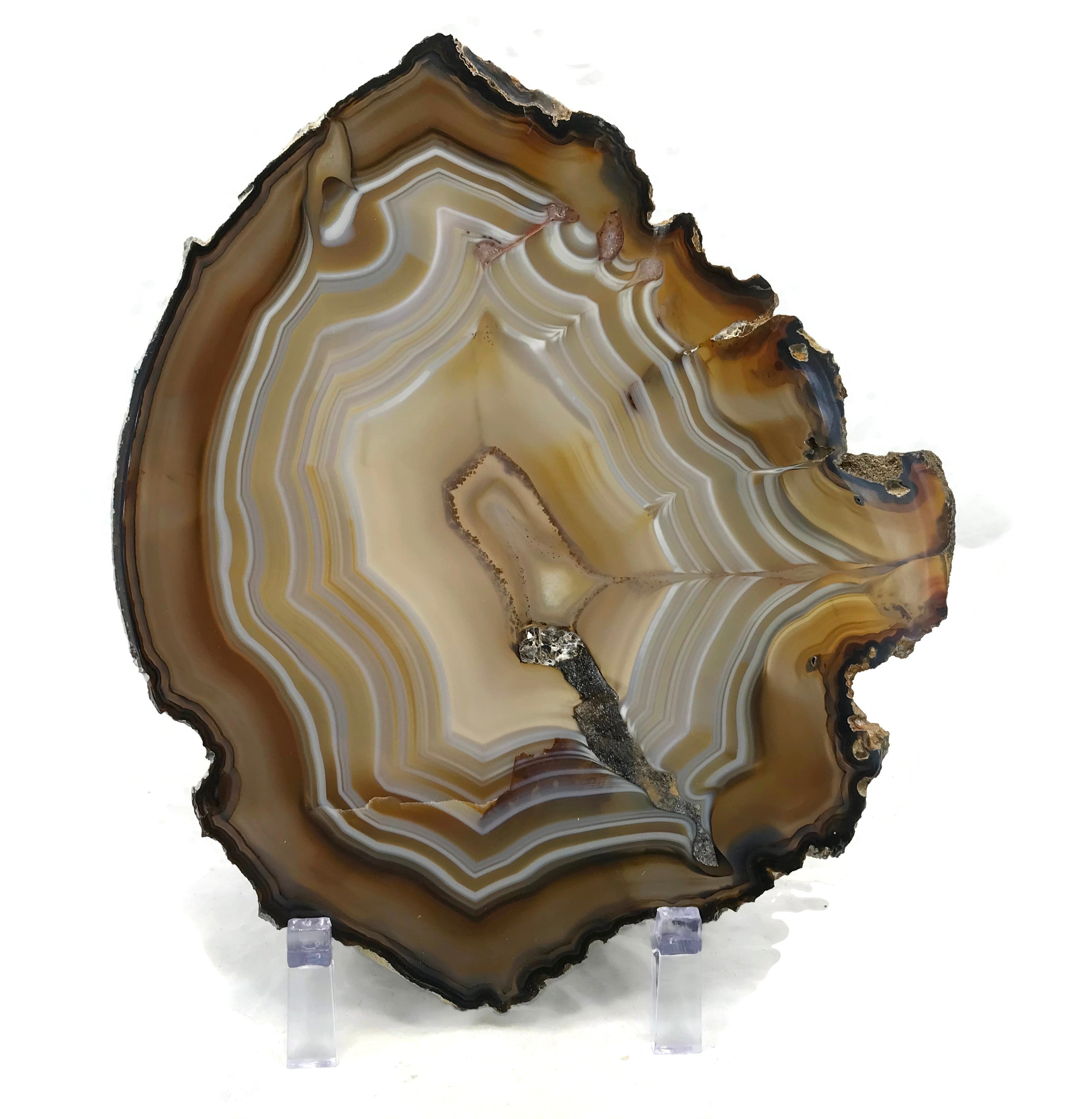 Golden Lined Agate Slice