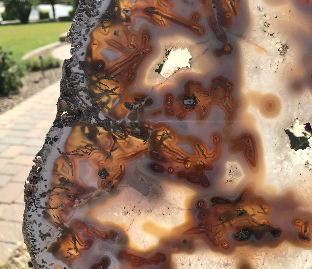 Night and Day Agate Slice