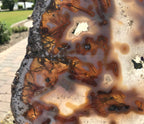 Night and Day Agate Slice