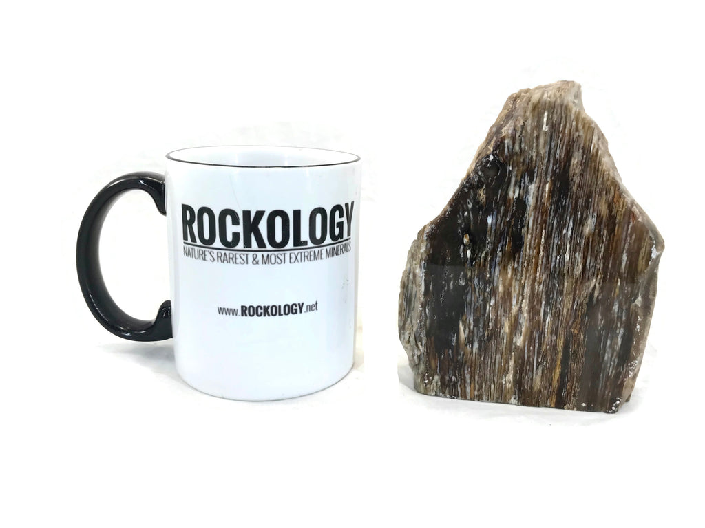 Striated Petrified Wood Freeform