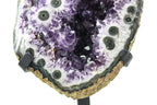 Uruguayan Amethyst Cluster