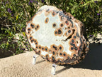 Dramatic Eyed Agate Endcap