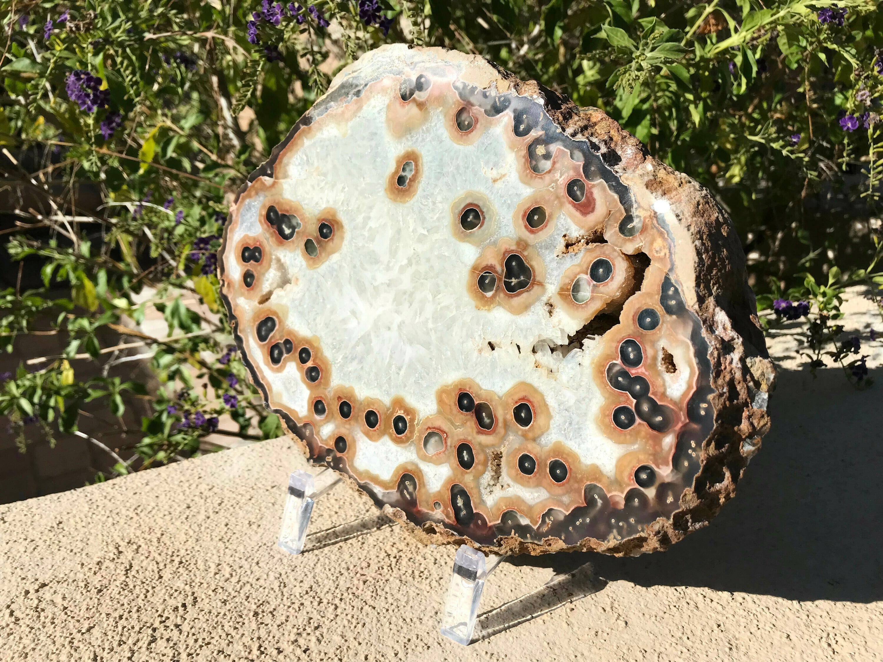 Dramatic Eyed Agate Endcap