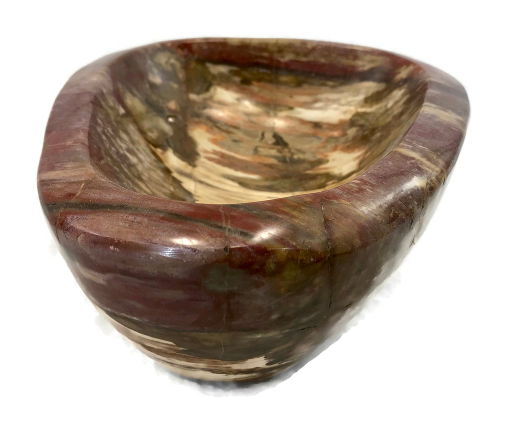 Tree Ringed Petrified Wood Bowl