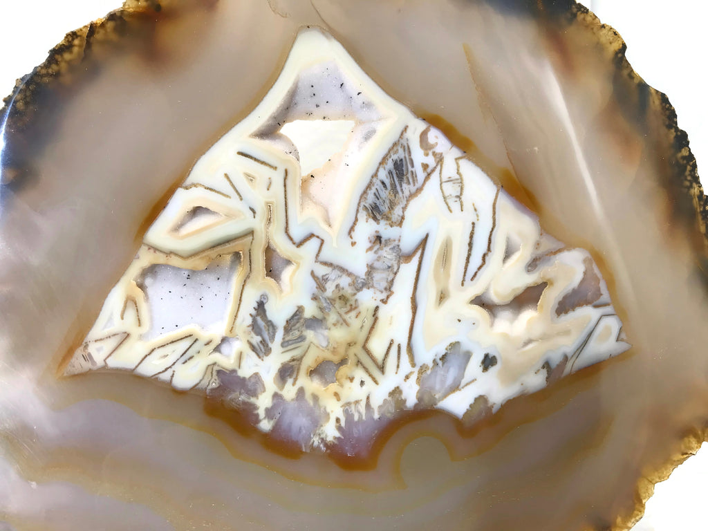Patterned Agate Slice