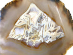 Patterned Agate Slice