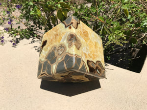 Standing Septarian Cube