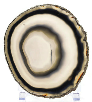 Black and White Bull’s Eye Agate Slice