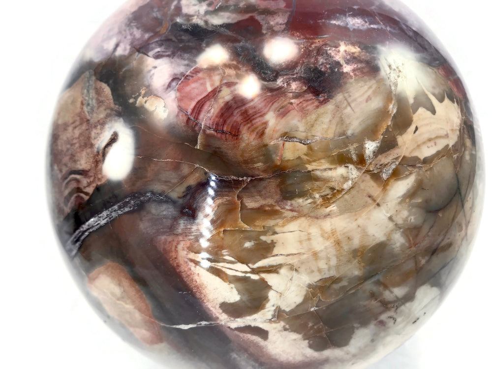 Magnifient Petrified Wood Sphere