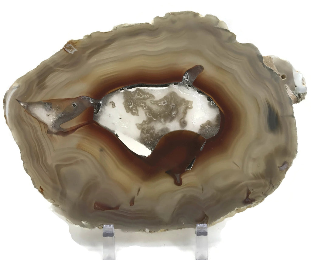 Ultra Translucent Brazilian Agate Slice