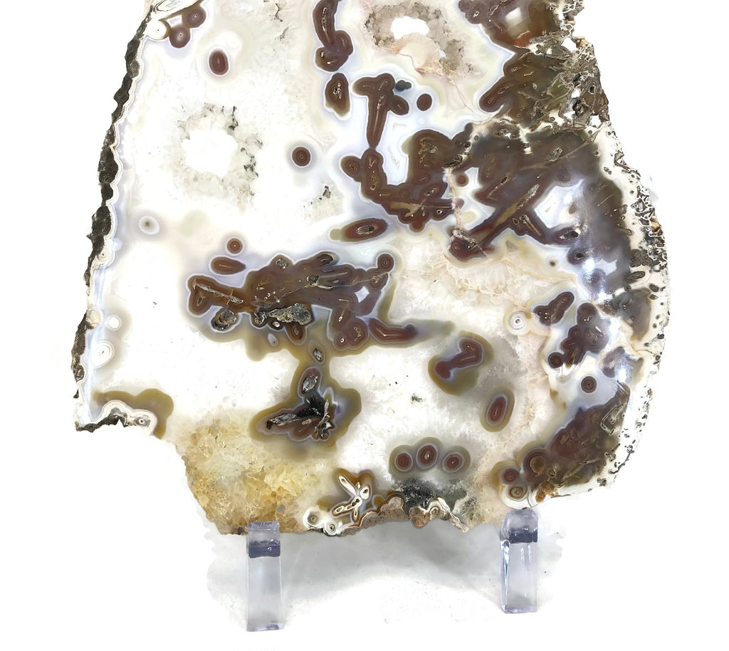 Night and Day Agate Slice