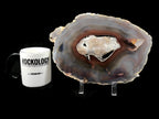 Ultra Translucent Brazilian Agate Slice