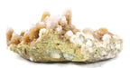 Giant African Cactus Quartz Plate
