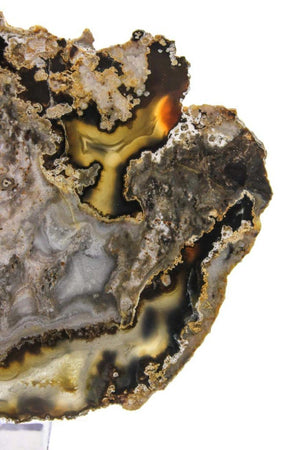 Contemporary Shades of Grey Agate Slice