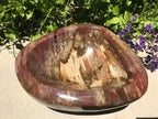 Tree Ringed Petrified Wood Bowl