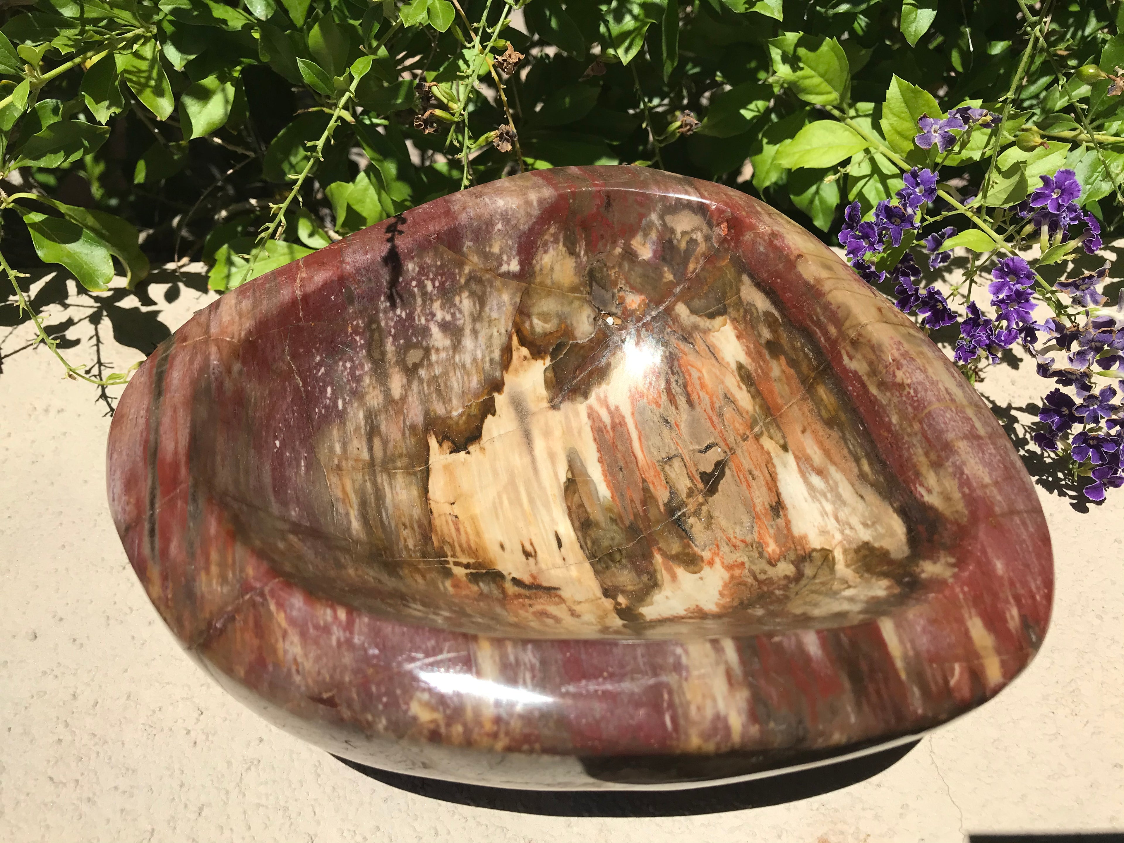 Tree Ringed Petrified Wood Bowl