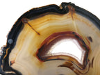 Crystal Lined Agate Slice