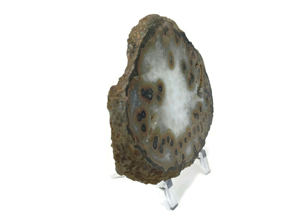 Dramatic Eyed Agate Endcap